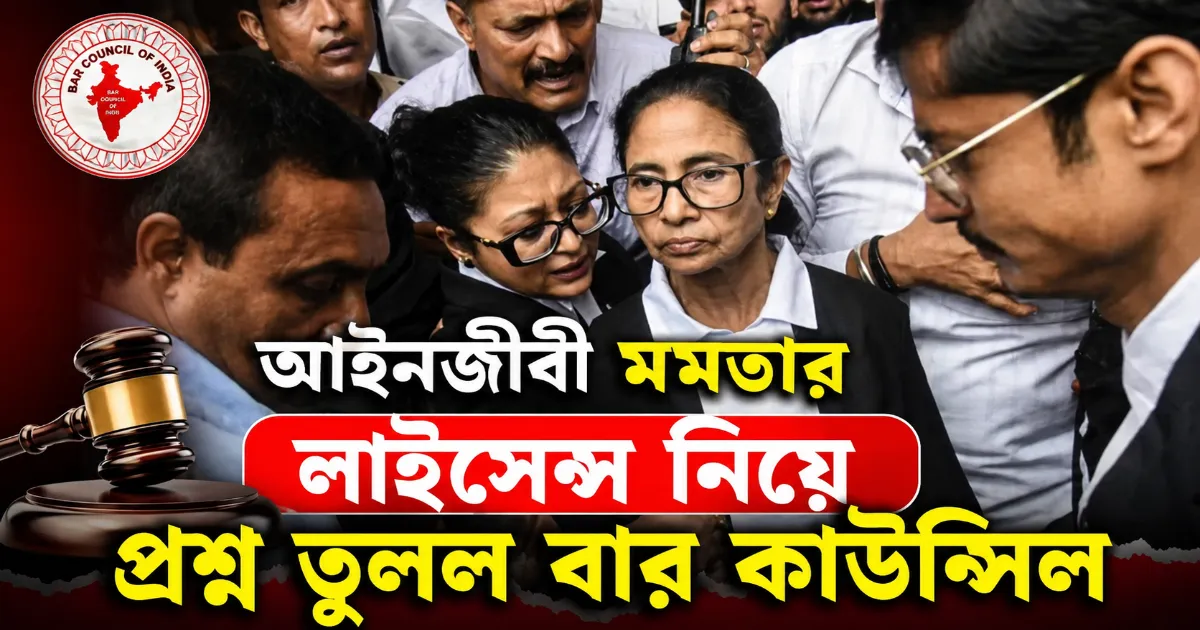 আইনজীবী মমতা.png